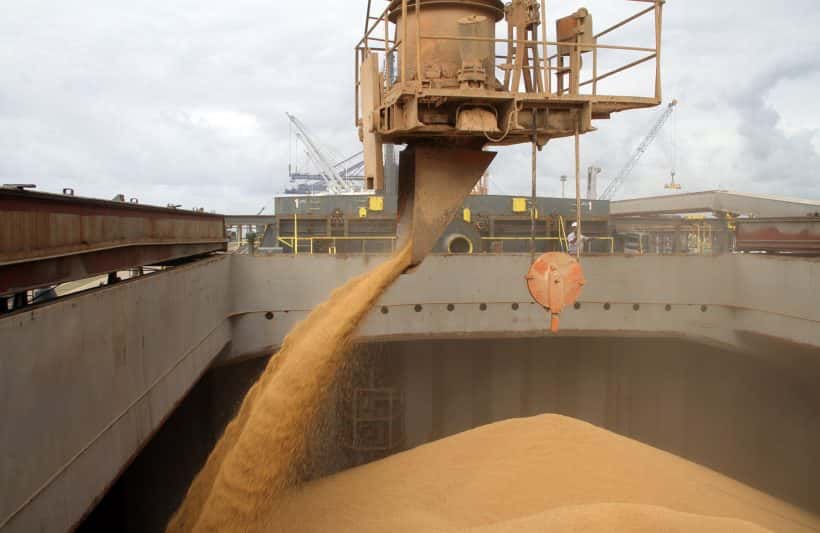 La importación de soja alcanzó su nivel más alto de la historia en los últimos cuatro meses