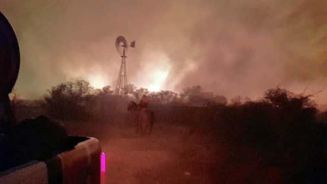 El Monte Nativo de Federal sufrió un grave incendio