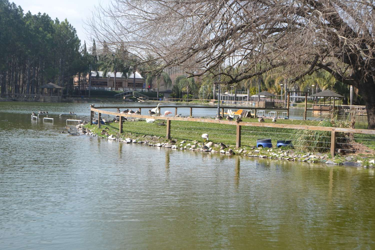 Pronostican un fin de semana primaveral en Gualeguay