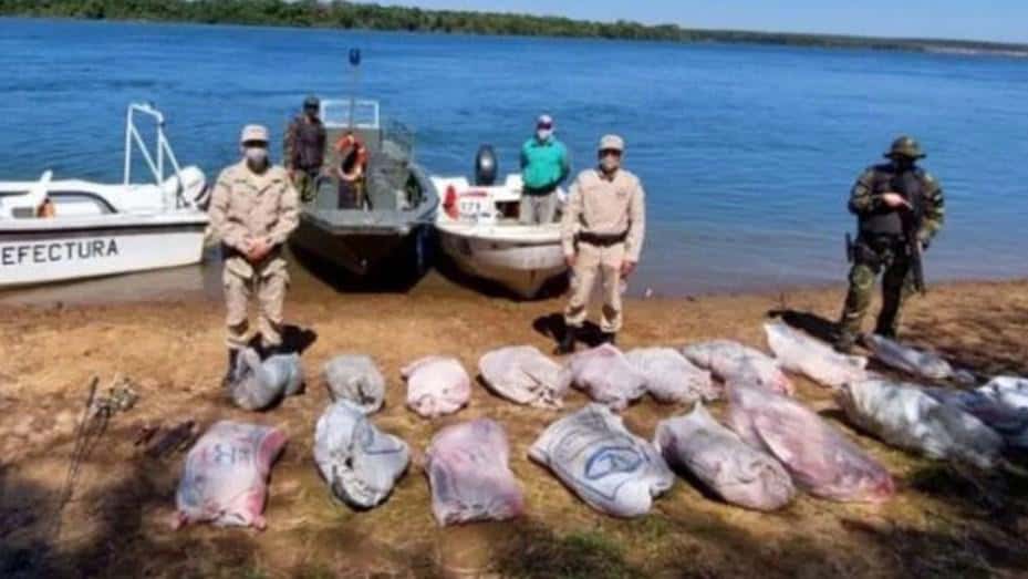 Atraparon a un cazador furtivo con 700 kilos de carne de carpinchos faneados