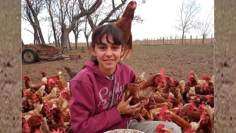 Con 14 años, empezó a criar gallinas en la pandemia: ya tiene 800 y vende huevos