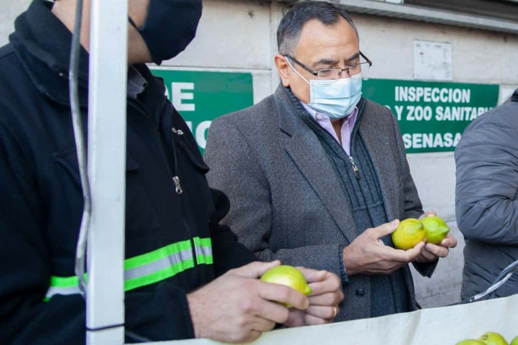 Periodista desnuda un papelón de Senasa con embarque de citrus