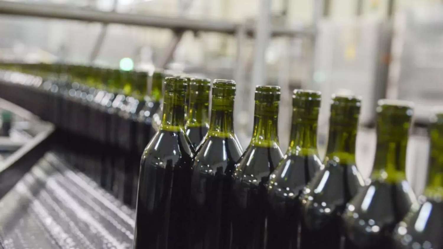 Urgencia nacional: Faltan millones de botellas para el vino