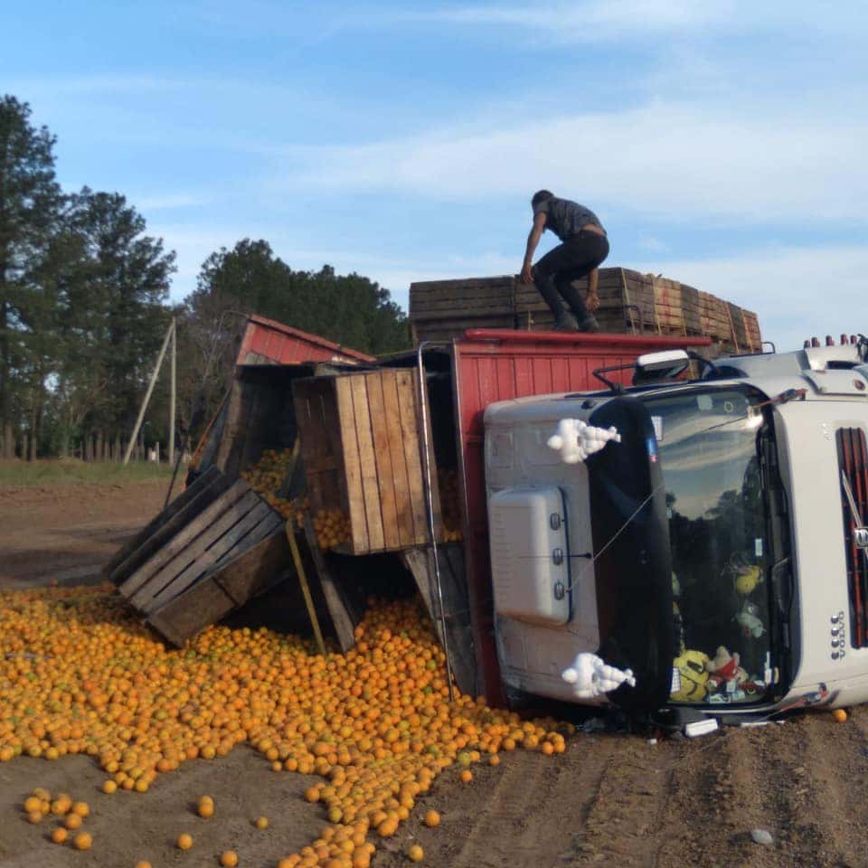 Volcó camión con carga de citrus en la periferia de Chajarí