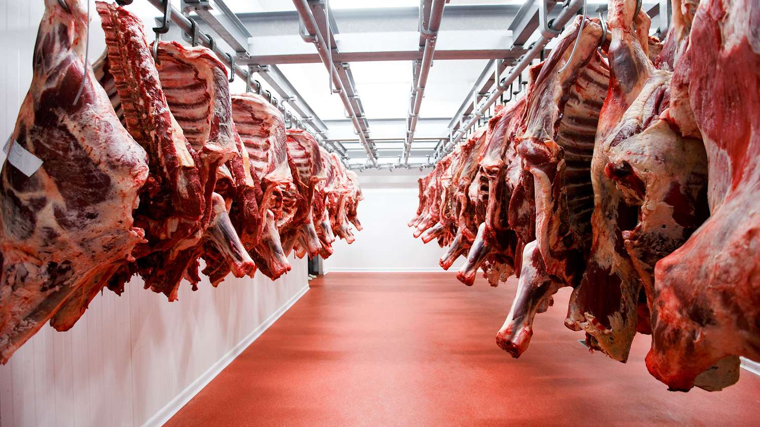 El consumo de carne vacuna cayó a 47,3 kilos por habitante en lo que va del año