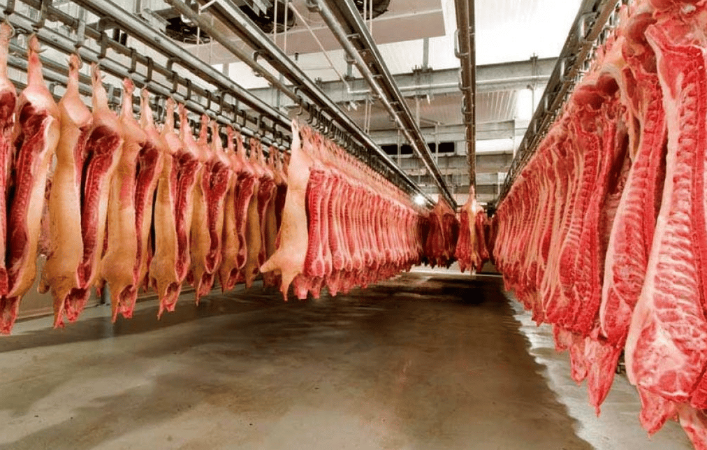 Las exportaciones de carne porcina cayeron 80% en el tercer trimestre