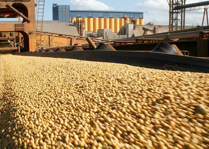 La agroexportación ingresó US$ 2.416,61 millones en octubre