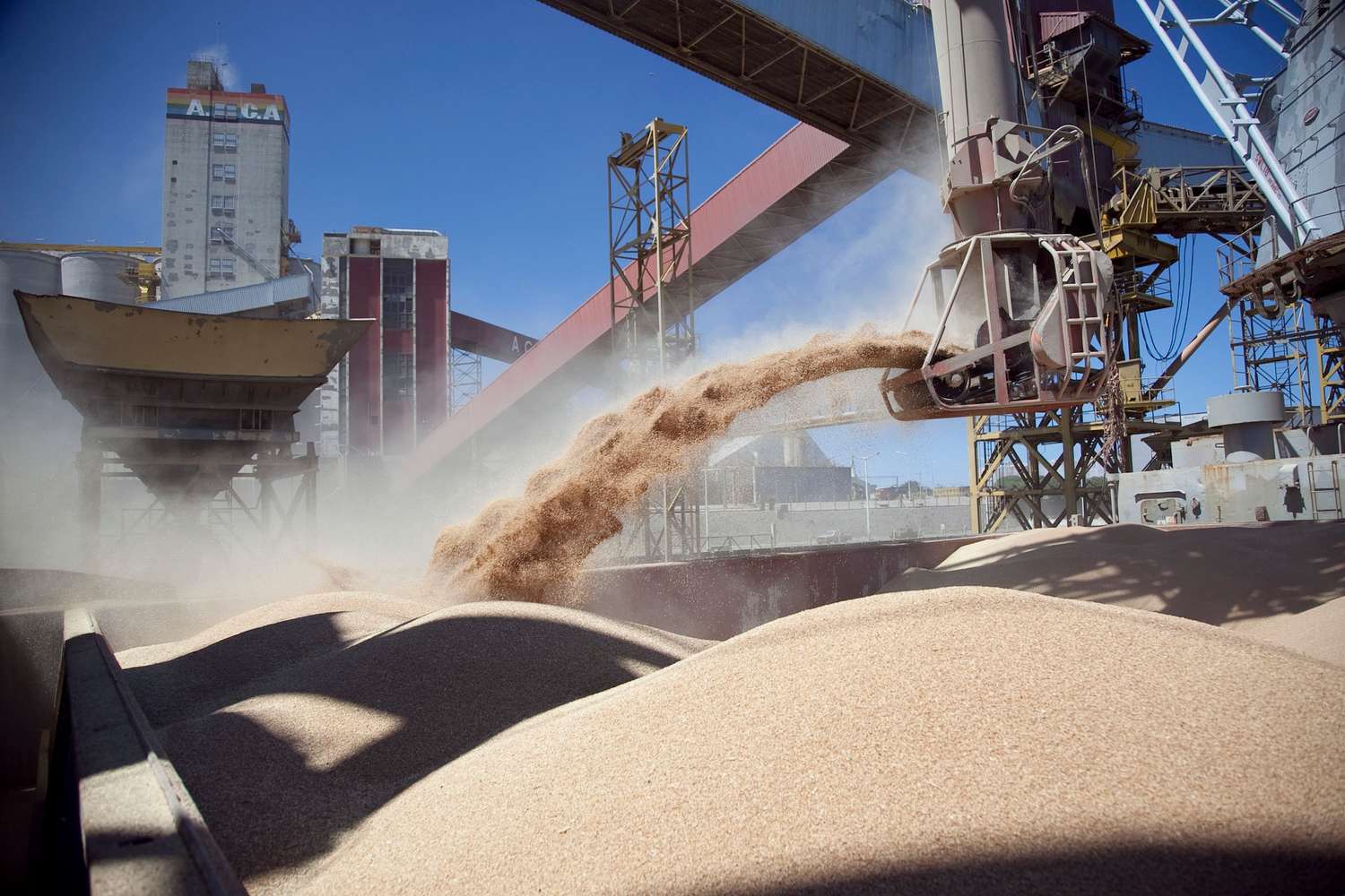Brasil exporta 1 tt de carne cada 3 tt de harina de soja, Argentina, en cambio, 1 cada 25