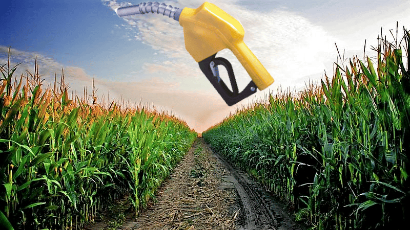 Analizan avances en reglamentación de la Ley Nacional de Biocombustibles