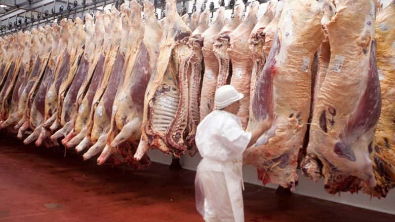 Ampliarán la exportación de carne pero mantendrán vedados siete cortes