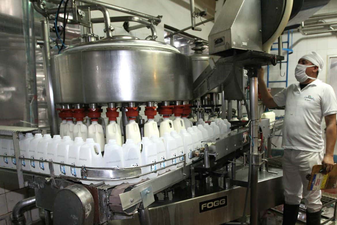 El Gobierno impulsa producción y generación de valor agregado para lácteos
