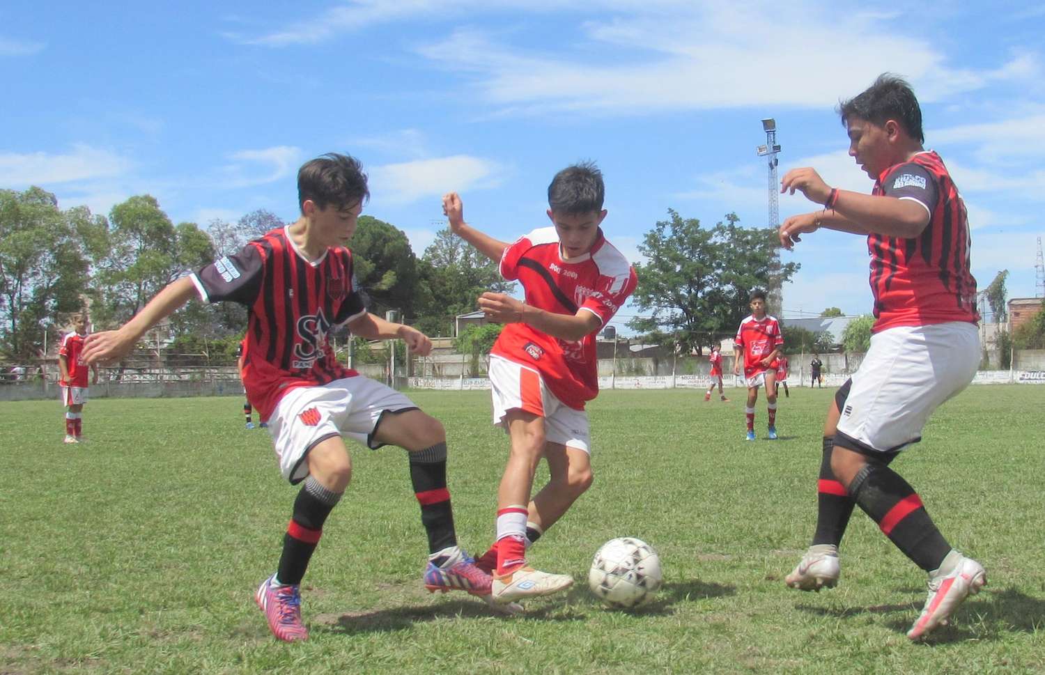 Fútbol local:resultados en Infantiles, Inferiores y femenino