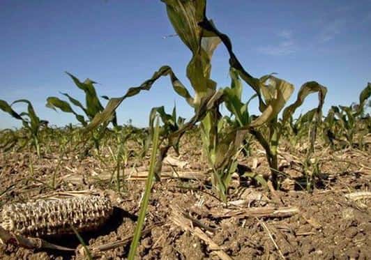 Según la Bolsa de Cereales, la lluvia trajo alivio aunque la sequía persiste en gran parte del área