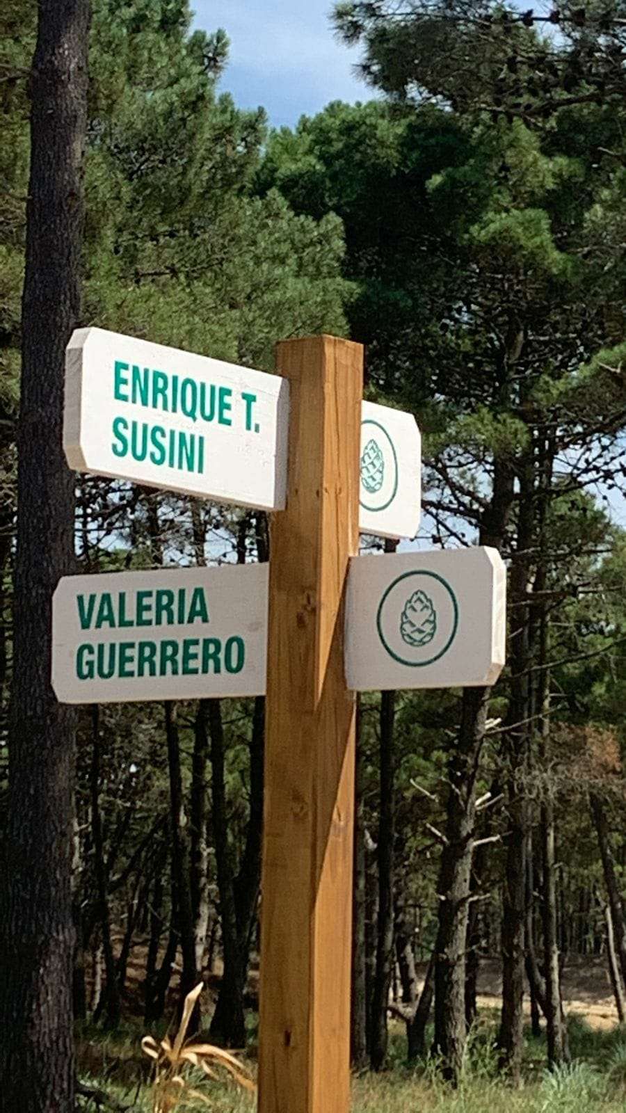 Nombraron Enrique Telémaco Susini a una calle en Pinamar