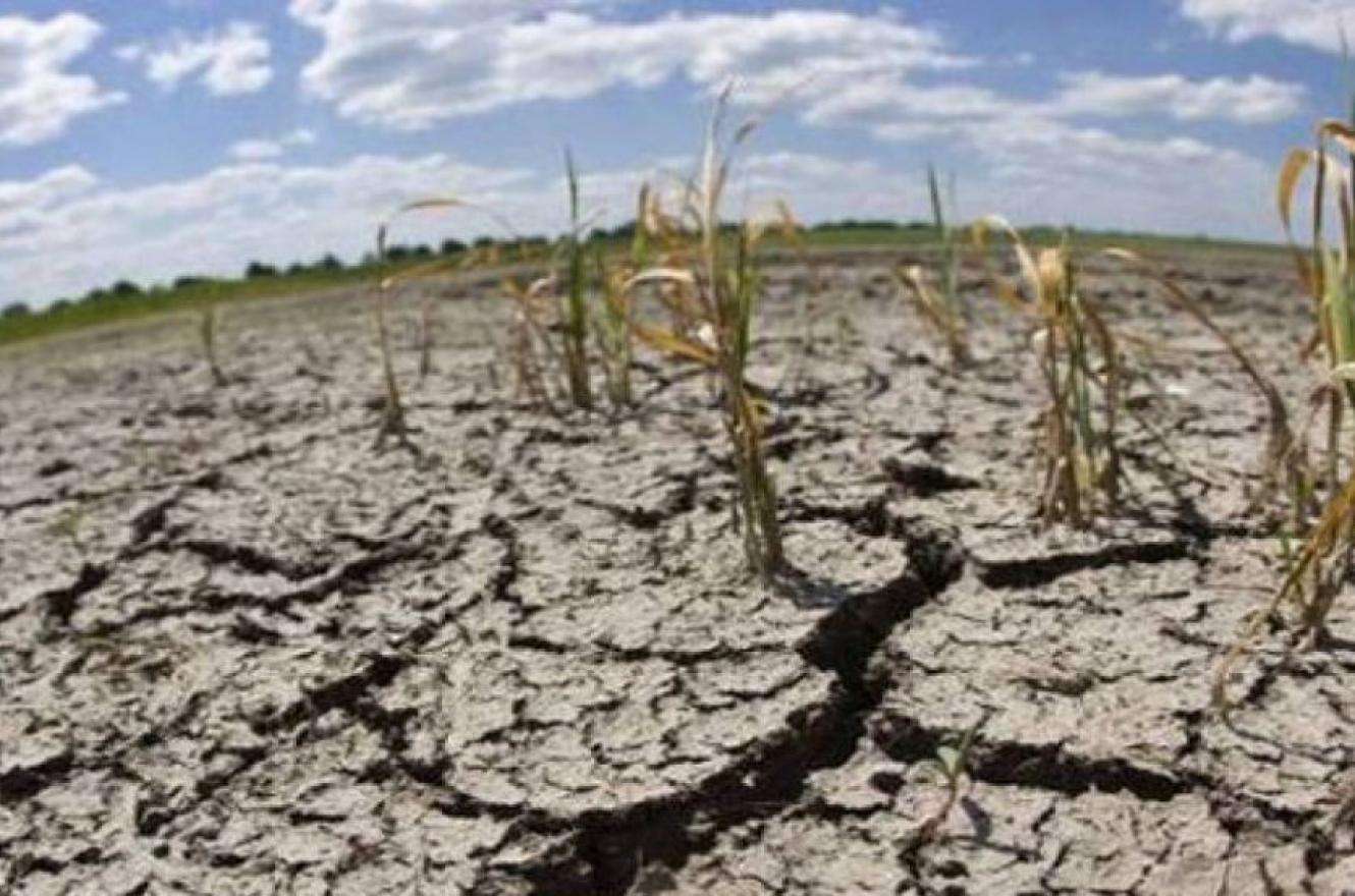 Sequía: piden que Entre Ríos sea considerada zona de desastre agropecuario