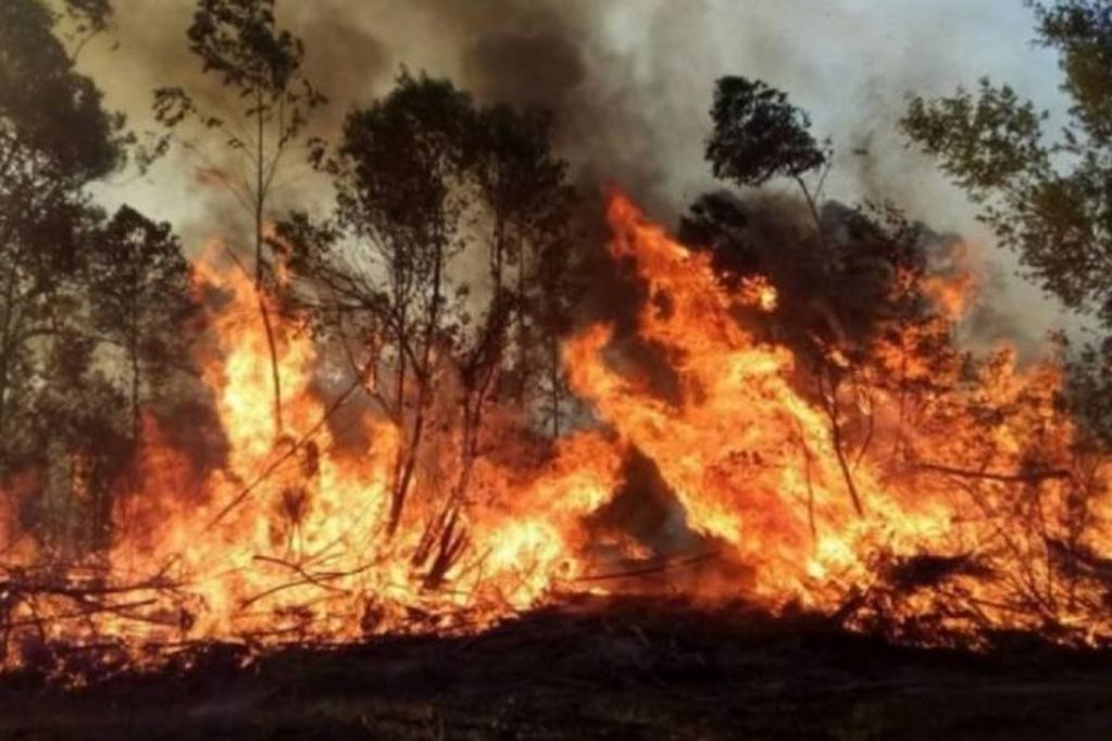 " En Corrientes se incendia el "Estado presente"
