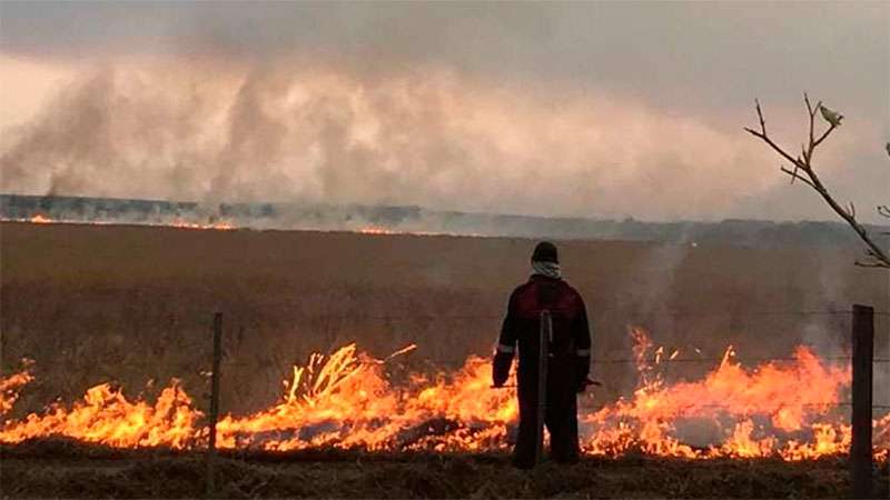 El Presidente viajará a Corrientes y estará en zonas afectadas por los incendios