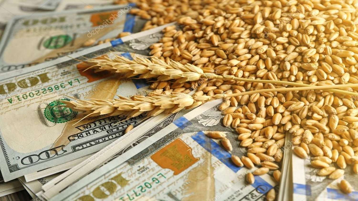 Cepo a las importaciones: Por falta de fertilizantes, el campo perdería USD 1350 millones