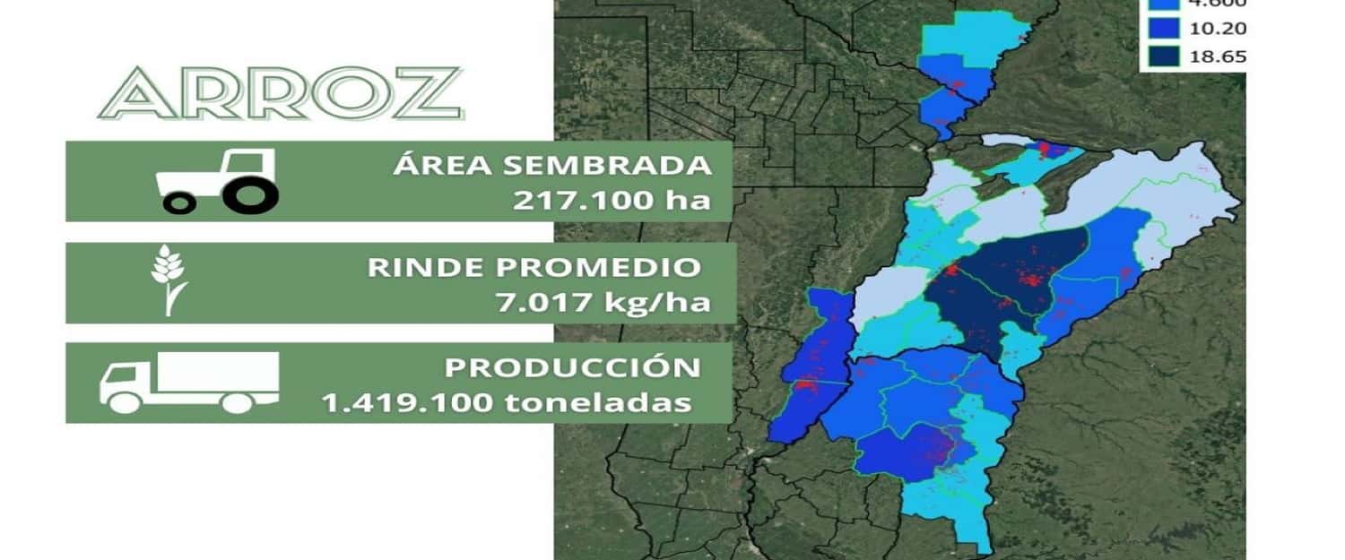 En Entre Ríos se obtuvieron rindes récord de arroz