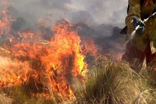 Incendios en Entre Ríos: reportan tres focos en Diamante II, Victoria IV y Gualeguay