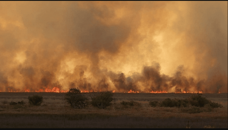 Licencia para quemar: una historia sin fin en el delta