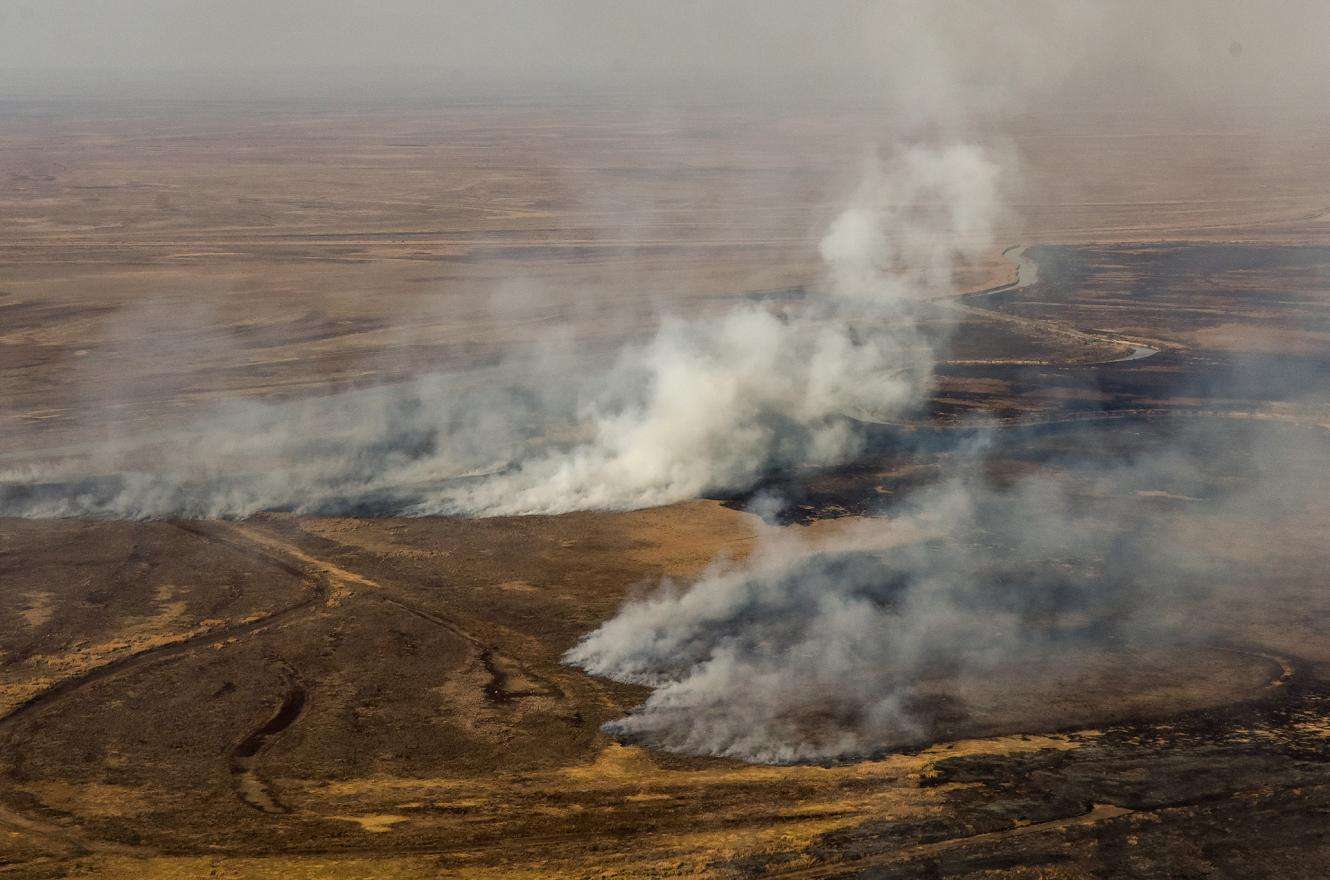 Incendios en el Delta: Ambiente presentó cautelar en la Justicia para aplicar sanciones