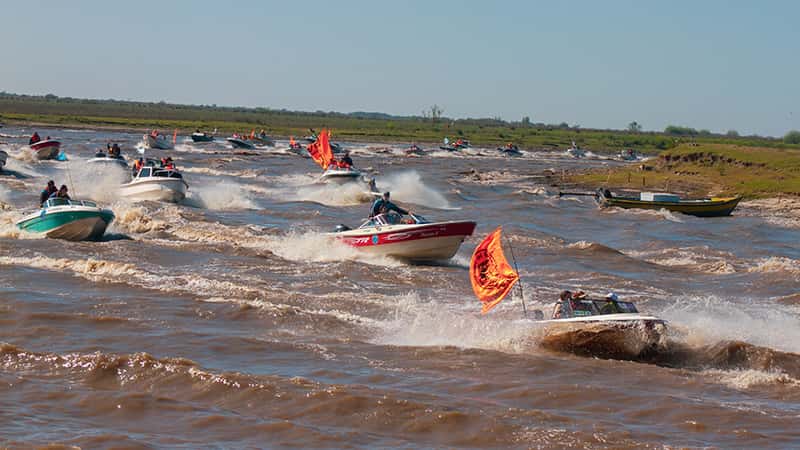 La Fiesta del Bagre Gualeyo nuclea unas 200 embarcaciones en aguas entrerrianas