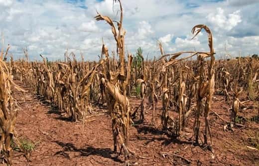 La Mesa de Enlace exige "medidas urgentes" por la sequía