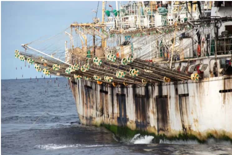 Barcos chinos pescaron ilegalmente en aguas argentinas durante más de 600 mil horas