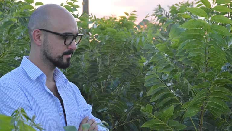 Abel Pintos ahora también es productor rural: cuál es el cultivo poco habitual por el que apuesta en la localidad de Mercedes