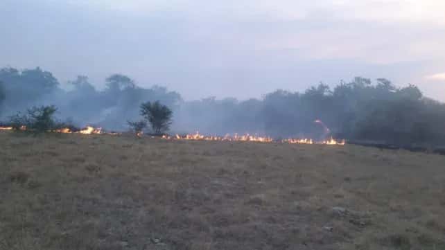 En Médanos siguen los incendios en el sur de Entre Ríos