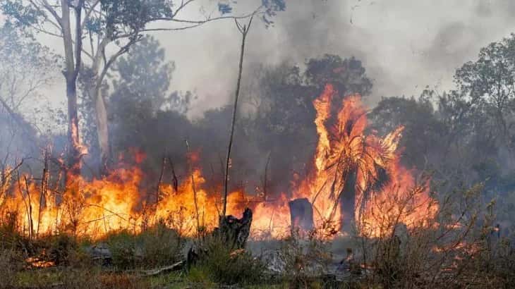 Reporte oficial por los incendios en Argentina: hay focos activos en Córdoba, Jujuy y Entre Ríos