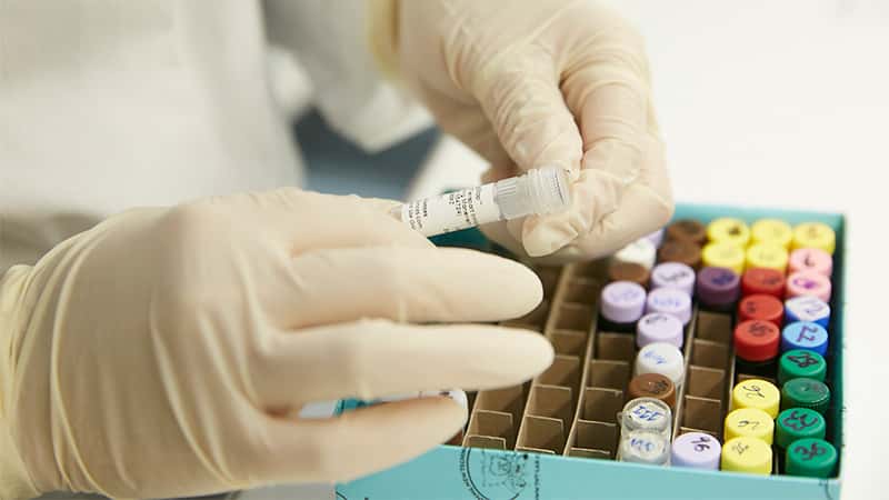 Vacuna argentina comenzará el lunes con el proceso de la fase 2 y 3