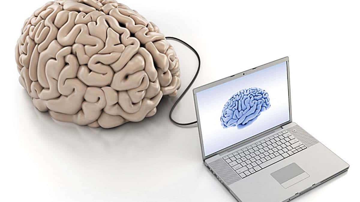 ¿Computadoras como células cerebrales humanas?