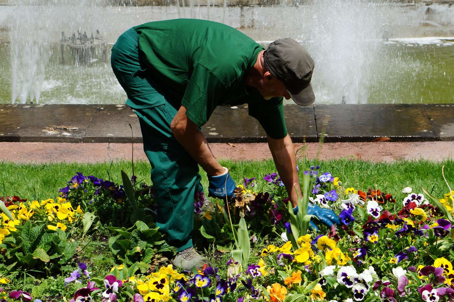 Cómo la jardinería puede ayudar nuestra salud