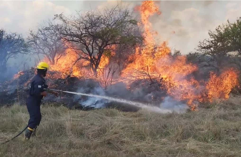 600 hectáreas quemadas y unas 40 salidas de los bomberos en lo que va de 2023