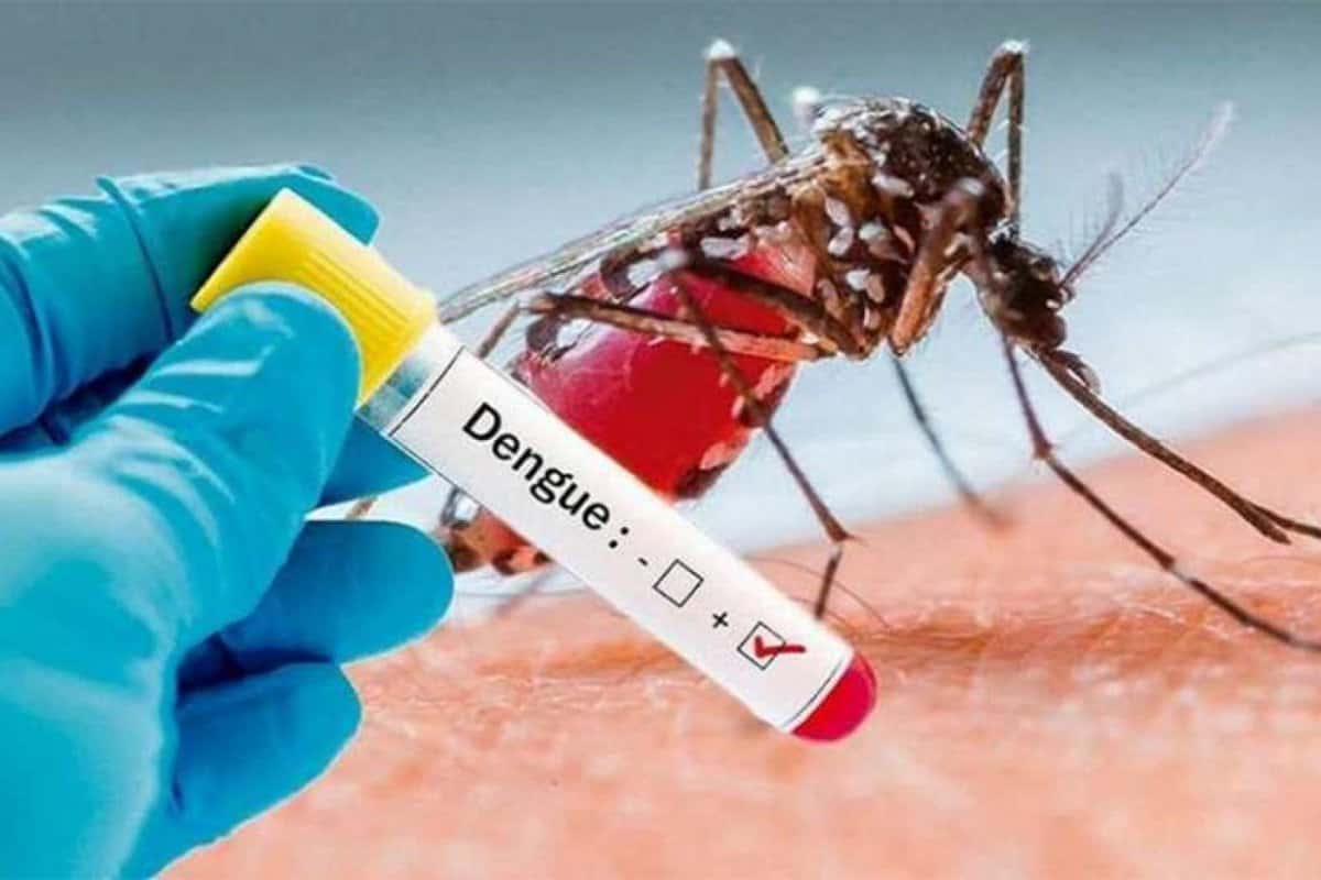 La ANMAT aprobó el uso de una vacuna japonesa contra el dengue