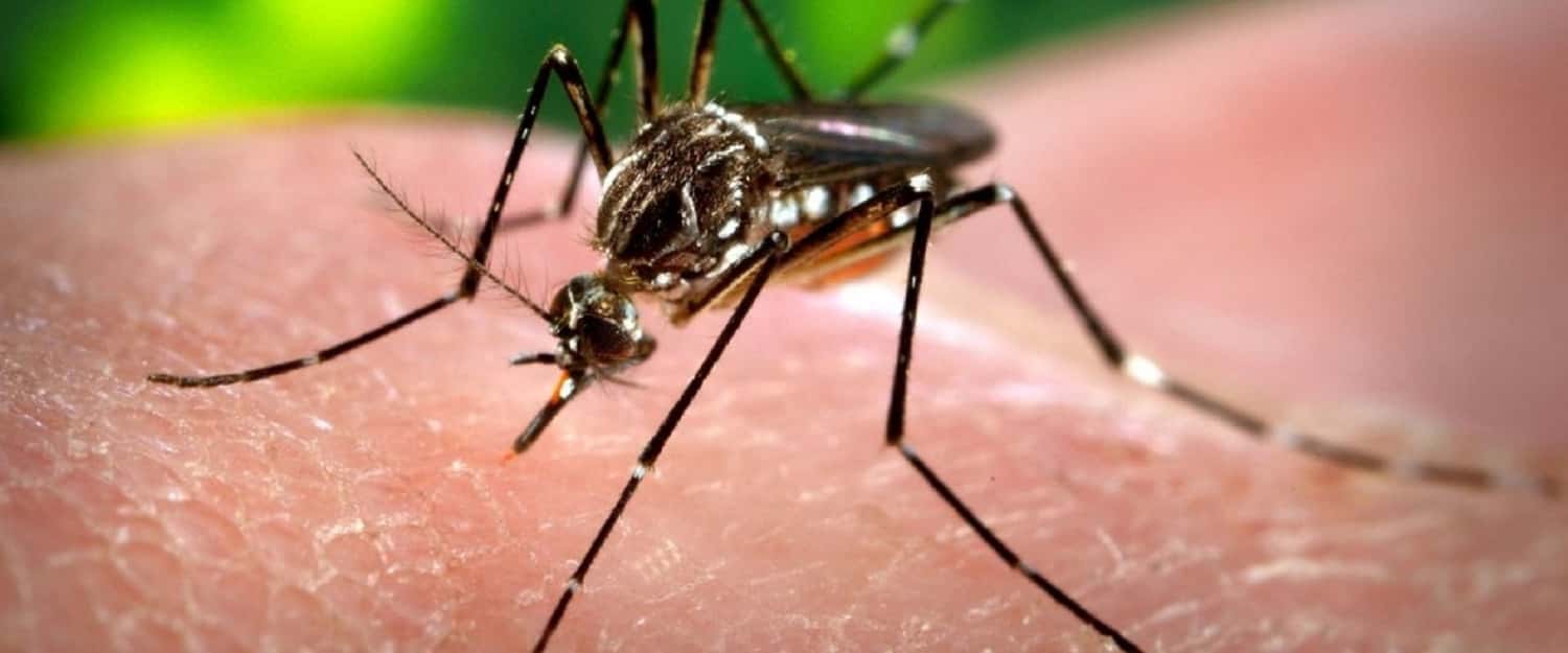 Siguen en aumento los casos de dengue y Covid-19