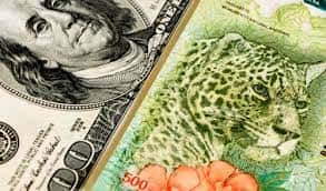 El dólar blue rebotó a $ 483 tras las nuevas medidas del gobierno