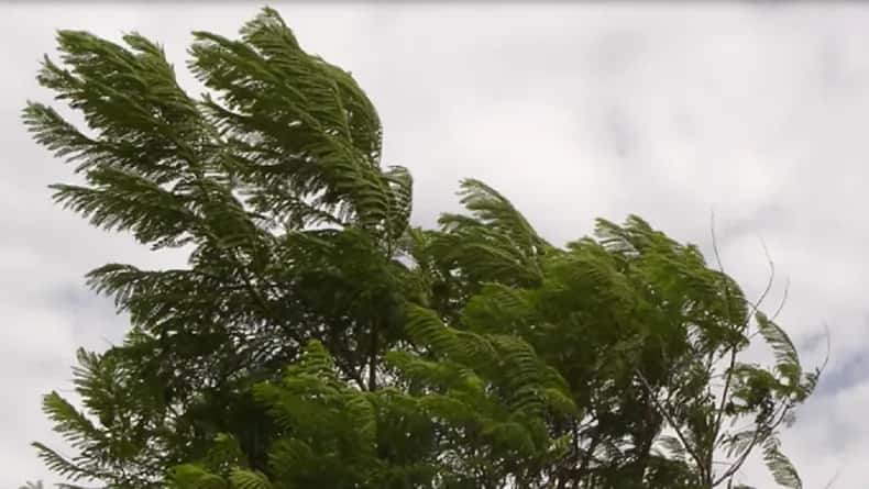 Pronostican fuertes vientos para la provincia