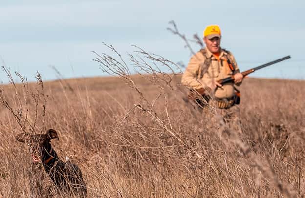 Entre Ríos: tras fallos, oficializan la temporada de caza menor