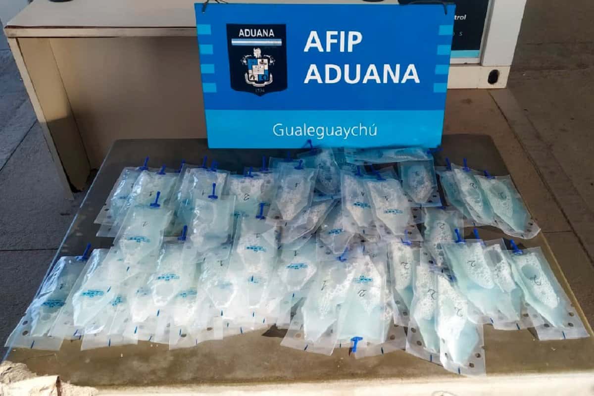 Aduana incautó una valija con 6 litros de semen porcino en el Puente San Martín