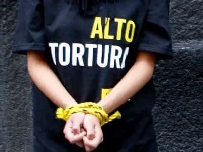 El jueves se elegirán representantes de la sociedad civil para el Comité para la prevención de la tortura