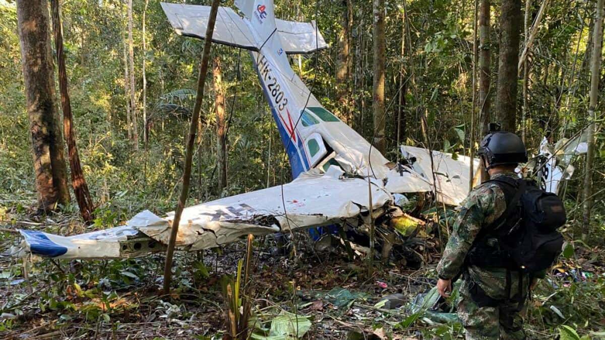 Milagro en la selva : encontraron con vida a los cuatro niños perdidos hace 40 días tras un accidente aéreo