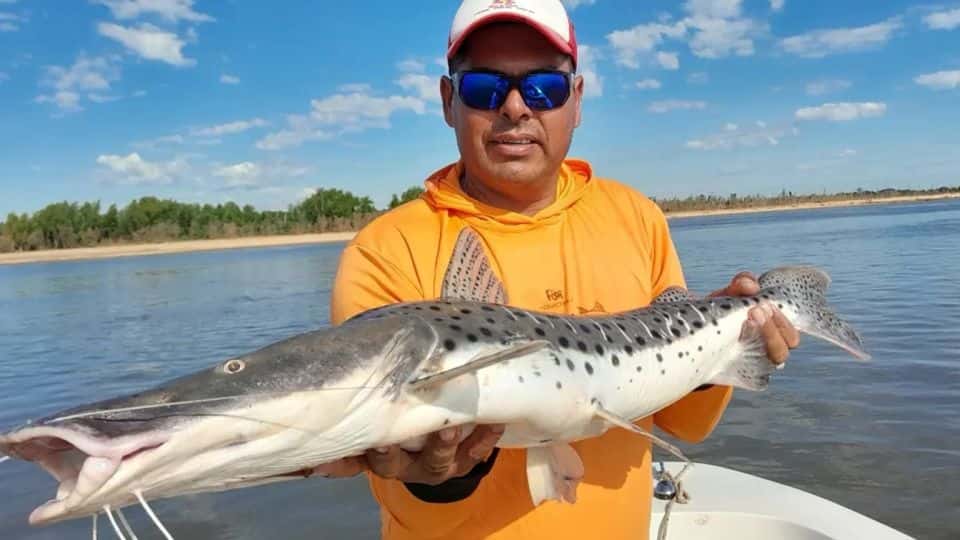 Junio está bárbaro para pescar en el Paraná