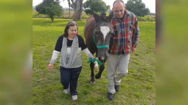 Don Uva: robaron un caballo utilizado para equinoterapia