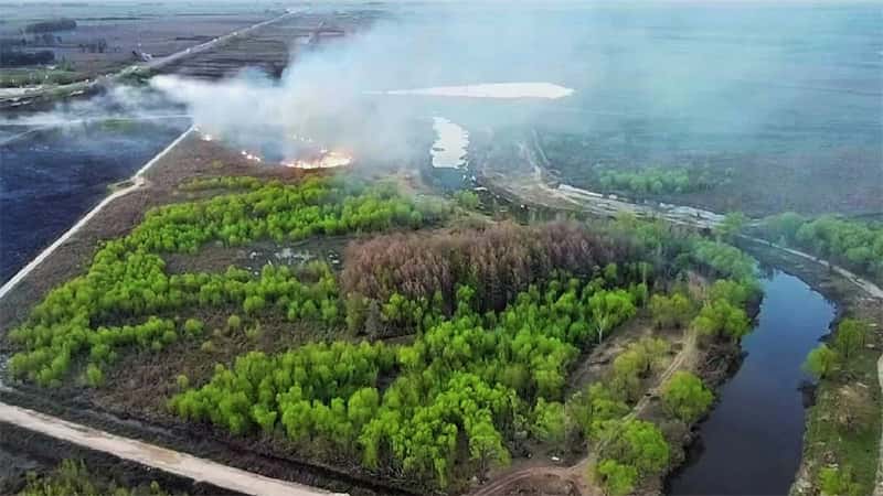 Incendio afectó más de 60 hectáreas en la Isla Talavera
