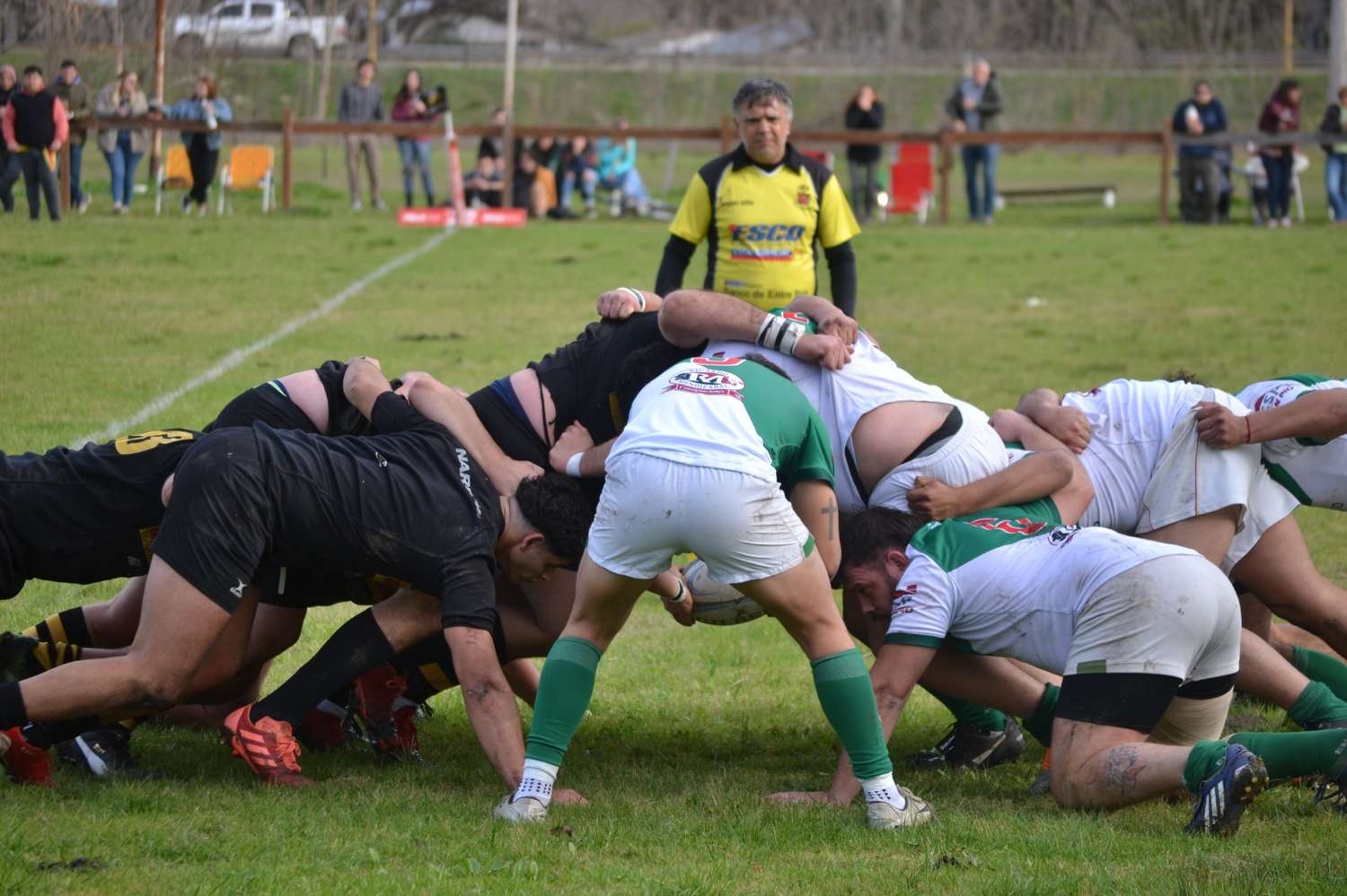 Actividad de rugby en el Jockey Club