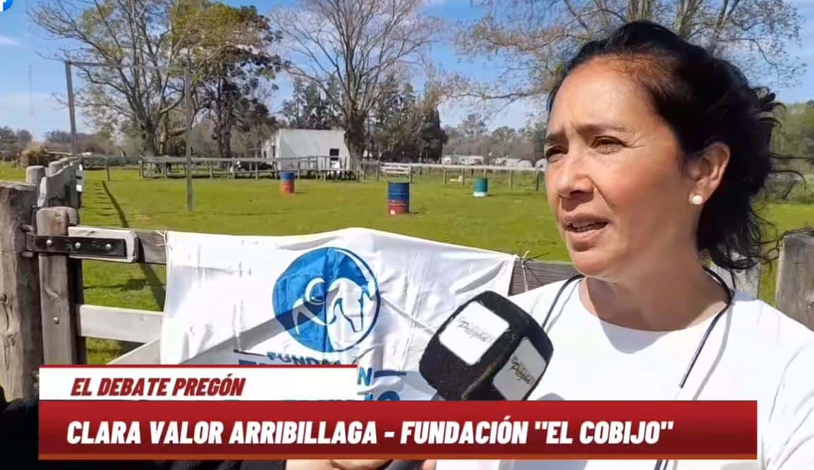 Clara Valor Arribillaga: Fundación Cobijo