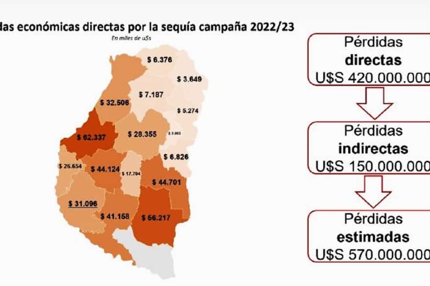 En Gualeguay, la sequía causó pérdidas por más de 41 millones de dólares